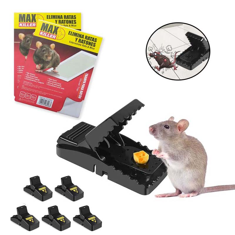 Trampa y Pega Para Ratones